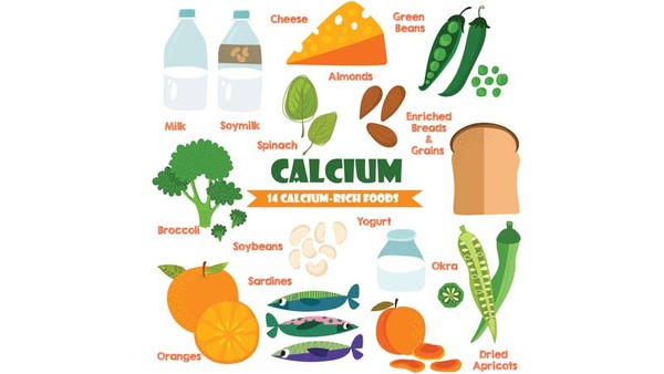 Sữa, calcium, và loãng xương