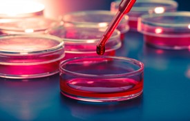 Cái nhìn về tế bào gốc trị liệu