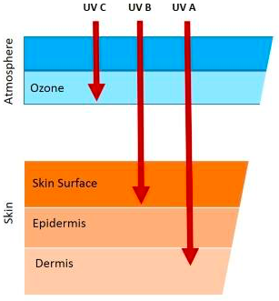 Những điều chưa biết về phơi nắng và vitamin D